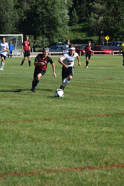 整体道德标 整体道德标